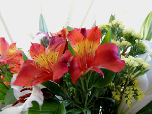 Nit de Flors i Sabors al Mercat del Lle&oacute;