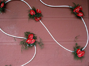 Nit de Flors i Sabors al Mercat del Lle&oacute;