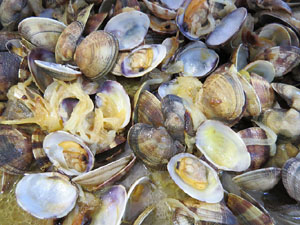 Nit de Flors i Sabors al Mercat del Lle&oacute;