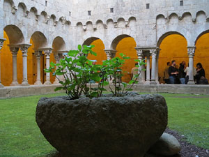 Inauguració de l'exposició 'El geni culinari. Innovacions que marquen la nostra cuina' al MAC de Sant Pere de Galligants