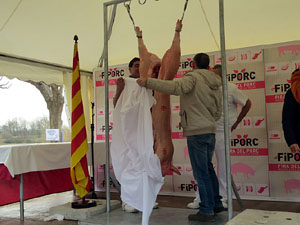 Fira del Porc FIPORC 2015. Demostraci&oacute; de l'especejament d'un porc