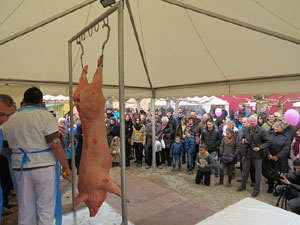 Fira del Porc FIPORC 2015. Demostraci&oacute; de l'especejament d'un porc