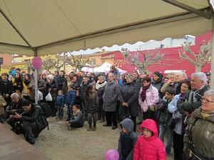 Fira del Porc FIPORC 2015. Demostraci&oacute; de l'especejament d'un porc