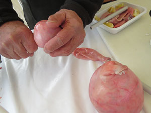 Fira del Porc FIPORC 2015. Elaboraci&oacute; de greixons, botifarres i carn de perol