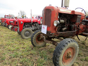 Fira del Porc FIPORC 2015. Exposicions i exhibicions