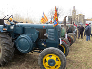 Fira del Porc FIPORC 2015. Exposicions i exhibicions