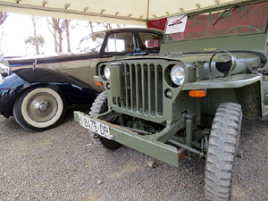 Fira del Porc FIPORC 2015. Exposicions i exhibicions