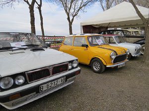 Fira del Porc FIPORC 2015. Exposicions i exhibicions