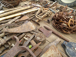 Fira del Porc FIPORC 2015. Exposicions i exhibicions