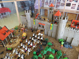 Fira del Porc FIPORC 2015. Exposicions i exhibicions