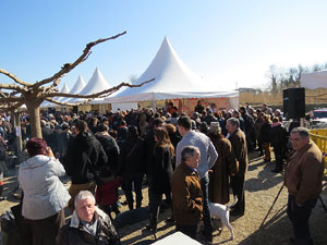 Fira del Porc FIPORC 2015. Les parades de la fira
