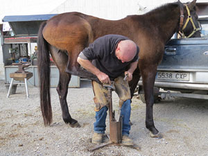 Fira del Porc FIPORC 2015. Mostra d'oficis antics