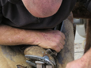 Fira del Porc FIPORC 2015. Mostra d'oficis antics