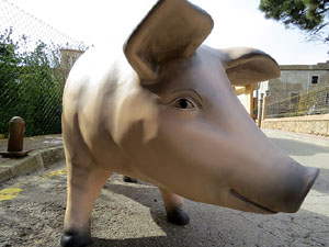 Fira del Porc FIPORC 2015. Miscel&middot;l&agrave;nia de la fira