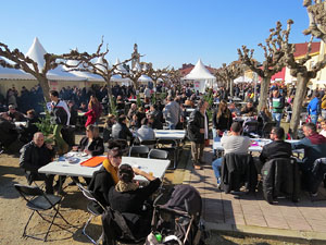 Fira del Porc FIPORC 2015. Miscel&middot;l&agrave;nia de la fira