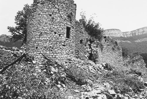 Castell de Fornils a Sant Martí Sacalm. 1990